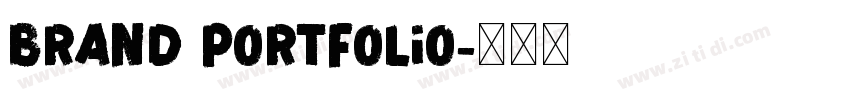 Brand portfolio字体转换